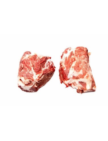 Lagarto de bellota ibérico